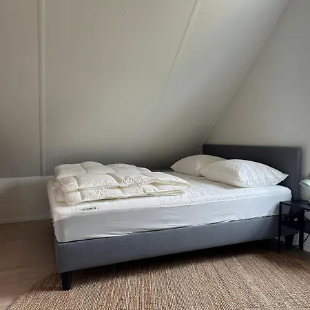 Ferienhaus Voor Mindervaliden Op Recreatiepark De Wielen - 61